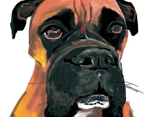 狗狗03（個人主頁-ZMjEwODM4NTI=） - 創(chuàng)作習(xí)作 - 站酷設(shè)計(jì)師不愛地鐵_lihui原創(chuàng)素材 - 站酷ZCOOL