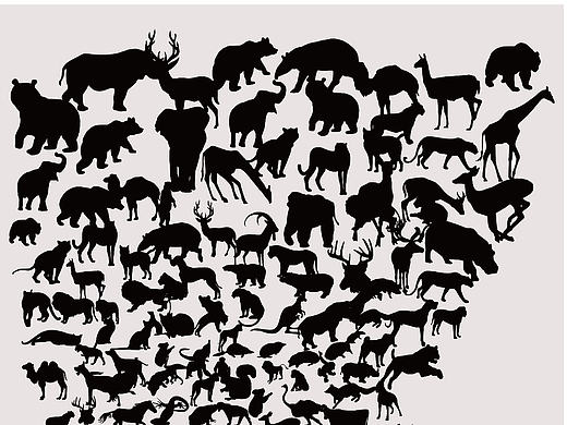 危弃（个人主页-ZMTY1Njk5Mjg=） - 海报 - 站酷设计师崔昭原创素材 - 站酷ZCOOL