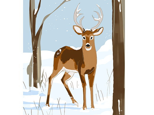 小動(dòng)物和下雪天更配05（個(gè)人主頁(yè)-ZNjM1NzQzODQ=） - 創(chuàng)作習(xí)作 - 站酷設(shè)計(jì)師狐芝士原創(chuàng)素材 - 站酷ZCOOL