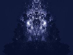 夜晚的灯光和树影