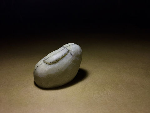 动物系列……新兔【李白】