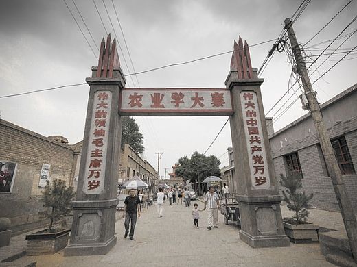  这，平凡的世界