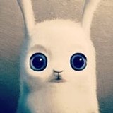 Zoocii的头像