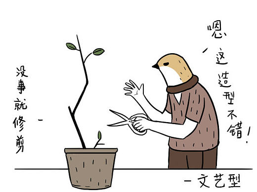哪种鸟
