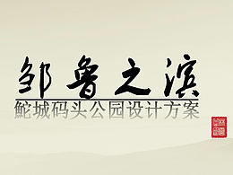 方案