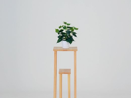 花架