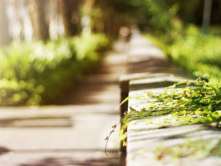 只求在最美的季节,遇见你