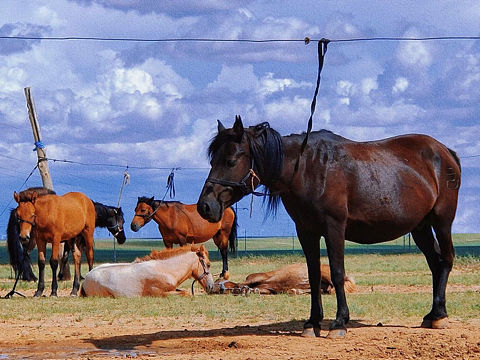 以夢為馬（個人主頁-ZNTEzMTQwOTI=） - 風(fēng)光攝影 - 站酷設(shè)計師ALL419原創(chuàng)素材 - 站酷ZCOOL