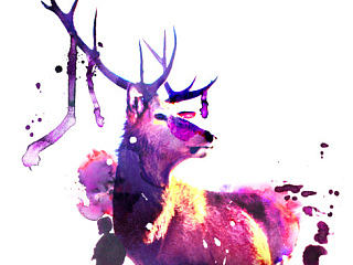 水彩效果圖片（個人主頁-ZNTQ0NTY5Ng==） - 海報 - 站酷設(shè)計師akongxxx原創(chuàng)素材 - 站酷ZCOOL