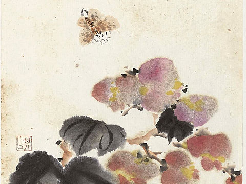 张田伟花鸟画，秋海棠