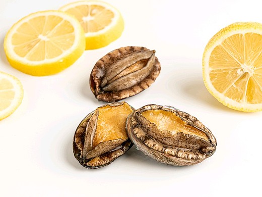 美食摄影 | 美食食材 | 鲍鱼拍摄