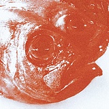 FISHFINGER00的头像