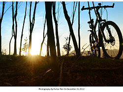 斜阳若影 On December.31.2012