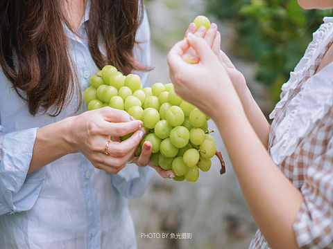 葡萄成熟时🍇