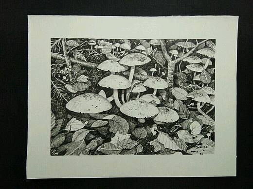 习作（个人主页-ZMjQ5OTc3ODA=） - 绘画 - 站酷设计师贩卖胖橘原创素材 - 站酷ZCOOL