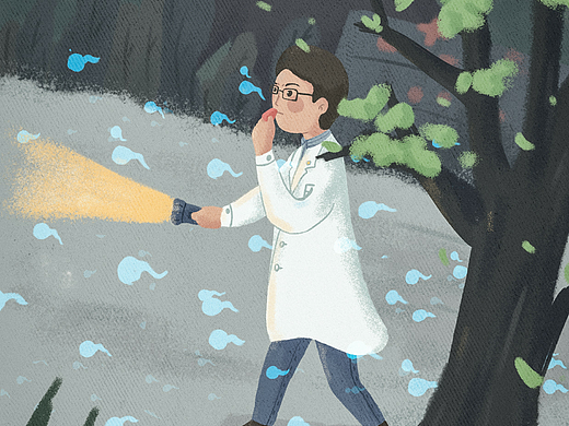 理论上灰色的  生命之树常绿