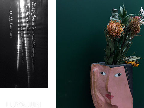 旅行箱里的温室（个人主页-ZMzU0MDc0MTY=） - 人文/纪实摄影 - 站酷设计师LUYAJUN7原创素材 - 站酷ZCOOL