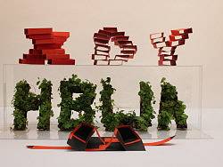 家乡的3D&nbsp;&nbsp;logo——河北文安西大有村HBWAXDY