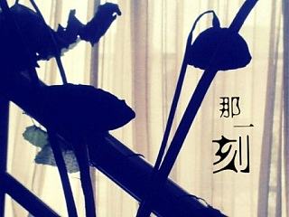 苏州咖啡厅--手机摄影魅族MX2+poco后期