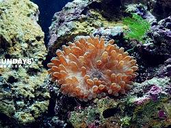 我的寵物（個(gè)人主頁-ZMTEzMDEyMA==） - 寵物攝影 - 站酷設(shè)計(jì)師feedfish原創(chuàng)素材 - 站酷ZCOOL