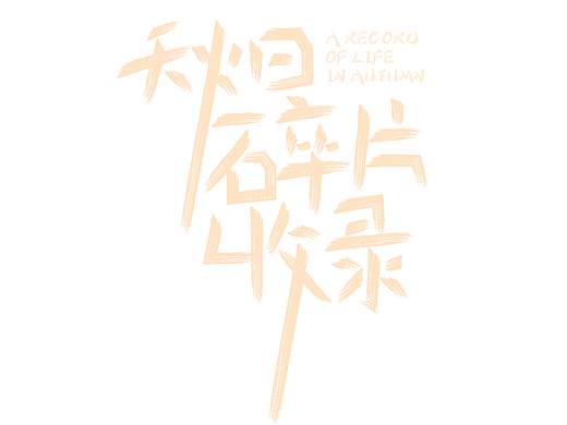 字体设计|艺术字设计|综艺海报设计|字体版式设计