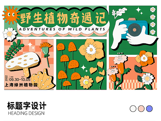 野生植物奇遇记