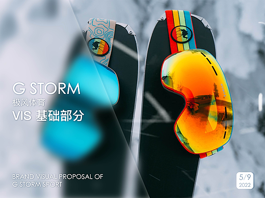 G STORM 极风体育VIS基础部分