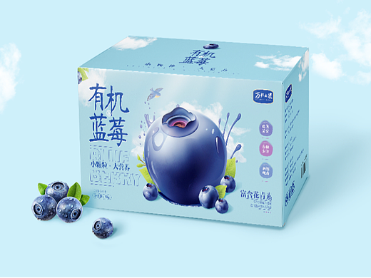 蓝莓-有机蓝莓礼盒包装