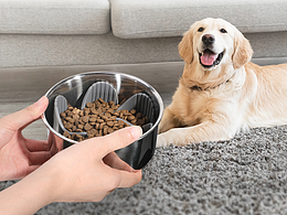 Amazon宠物风车缓食盘