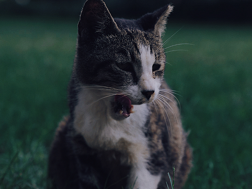 纪实-上海静安公园