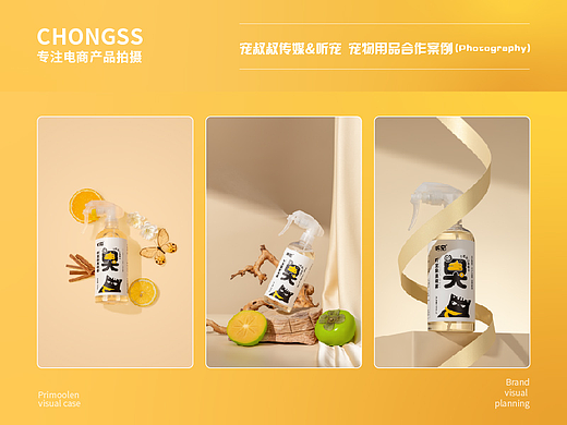 宠物产品 | 听宠 | 电商图片 | 宠叔叔传媒