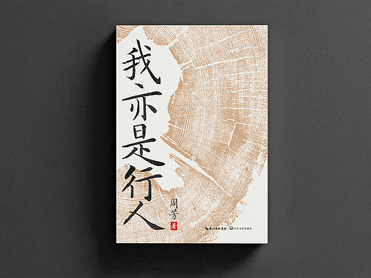 书籍封面设计作品-《我亦是行人》
