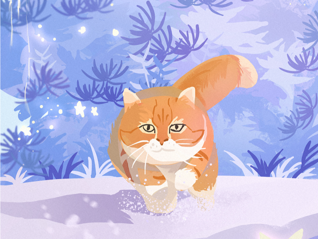 故宫的猫 比雪好看太多了_凤凰网