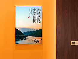 安康特產(chǎn)木瓜酒設(shè)計(jì)