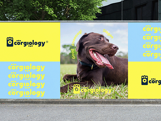 Corgiology柯学主义 品牌升级