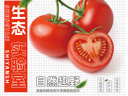 第七天