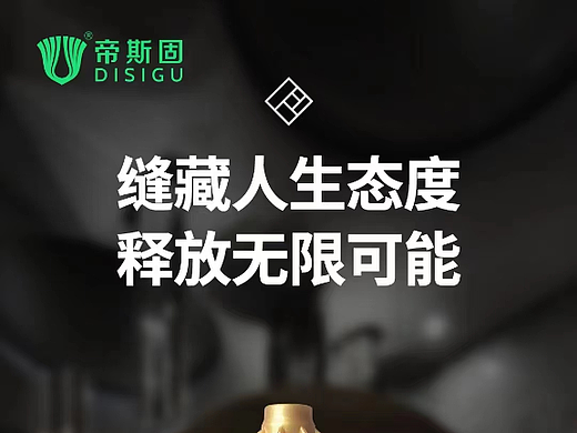 帝斯固精品海报54