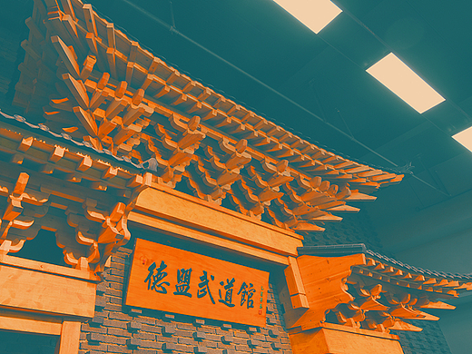 德盟武道品牌全案-视觉系统