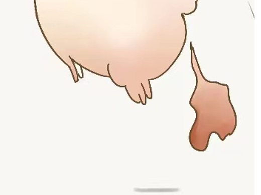 D11-手绘速写打卡