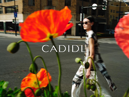 燃点文化 | 商业广告｜CADIDL 卡迪黛尔