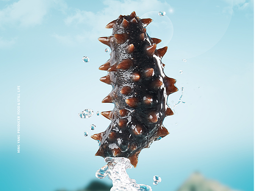 海参/即食海参/淡干海参/海参礼盒创意拍摄