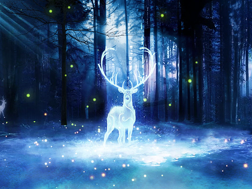 ”幻光森林“沉浸式夜游