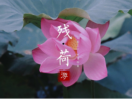 红藕香残玉簟秋