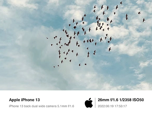 IPHONE-隨手閑拍-(不定期更新)