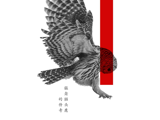 矩形（个人主页-ZNTk4OTc1NDA=） - 海报 - 站酷设计师一组羊原创素材 - 站酷ZCOOL