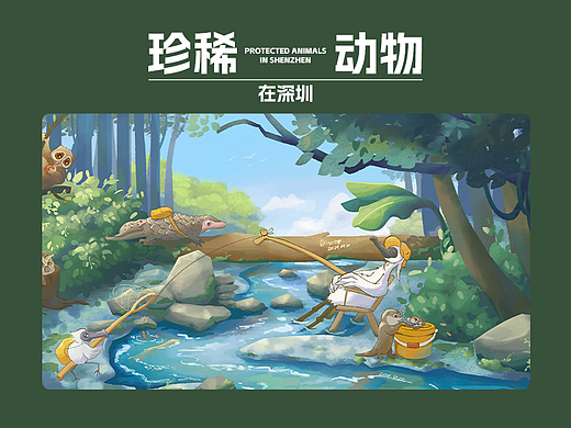 《珍稀动物在深圳》