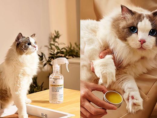妍物集 X 阿默 | 宠物用品狗猫洗澡护理沐浴露产品拍摄