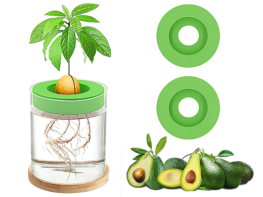 亚马逊主图--牛油果种植套件