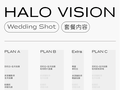 HALOVISION定制 BRAND报价与提示单