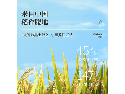 素稷大米-详情页